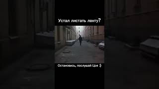 Белый снег, серый лёд | #Shorts