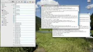 Multiple DICOM to NIfTI converter using dcm2nii and AppleScript
