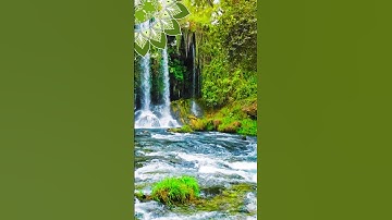 تلاوة هادئة تضفي عليك السكينة والهدوء وتملأ روحك بالأمن والطمأنينة