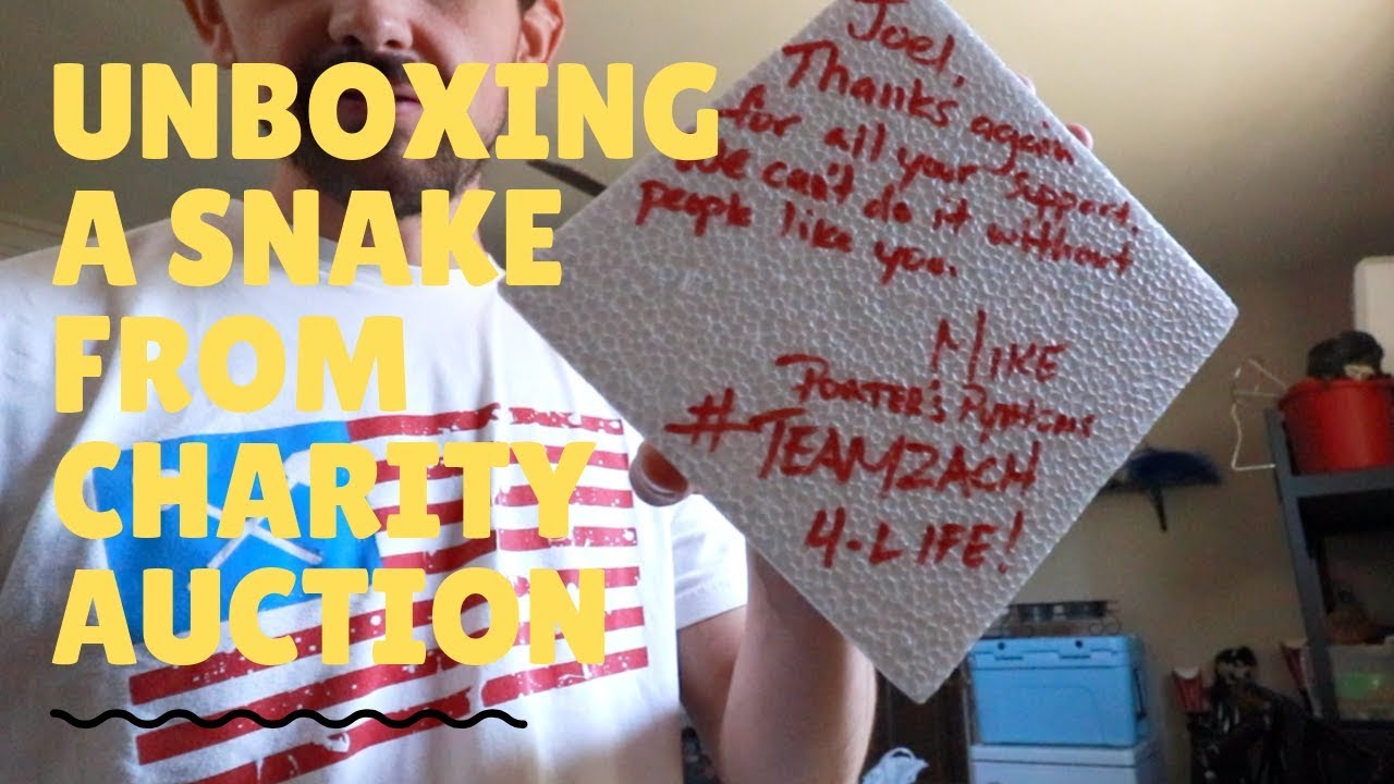 petco hours Winning a Snake in An Auction!!