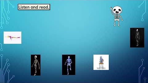 Supermind B1 : Unit 8 -The Skeleton (page 102)