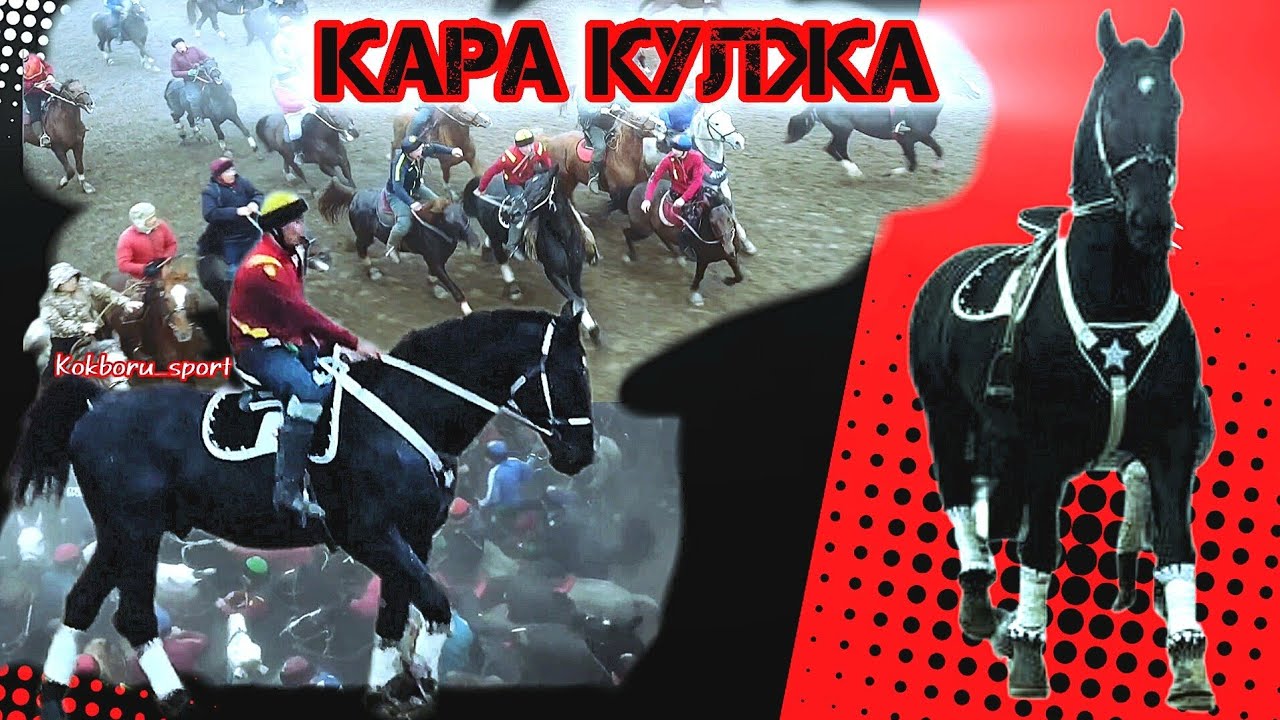 Кара Кулжанын биринчи улагы 💥