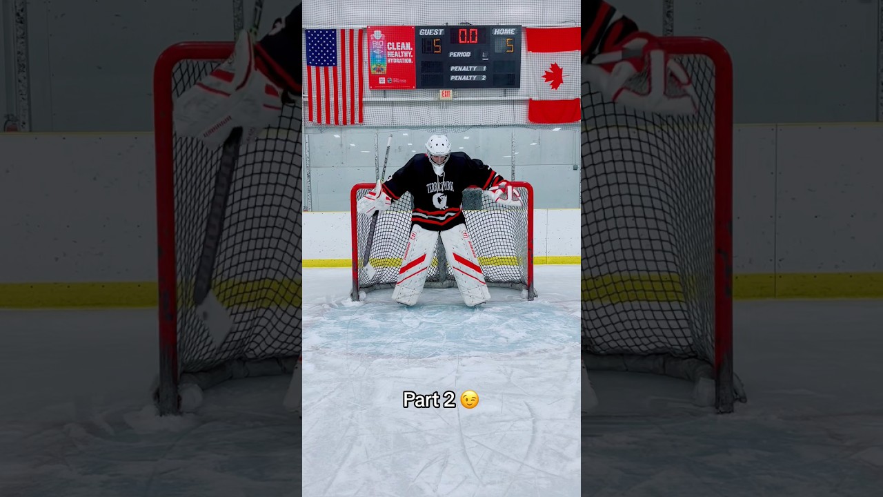 The Hockey Goalie Stances 😮 hockey icehockey nhl hockeygoalie YouTube