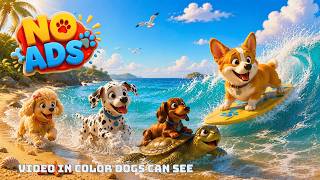 Dog Cartoon: Relaxing Dog TV & Videos for Bored Dogs to Watch Home Alone | Calming Music for Dogs