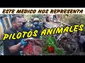 ESTE MEDICO NOS REPRESANTA A TODOS LOS GUATEMALTECOS,  PILOTOS ANIMALES