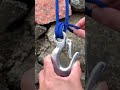 This hook can be knotted like this