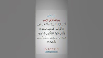سورة الفيل بصوت القارئ مشاري العفاسي💚💛