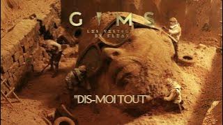 GIMS - DIS-MOI TOUT (Audio Officiel)