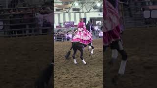 ESCARAMUZA A CABALLITO DE PALO #shorts