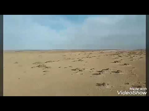 نهائي سباق السلوقي ولاية المسيلة بلدية سيدي عيسى 2021 البڨع ربي يصلح ما شاء الله