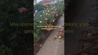 Una operación rápida e indolora y un ganglión muy explosivo