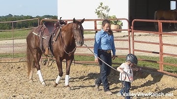 Miss Ausborne - hanging out with future equestrian - ValleyViewRanch.net