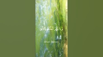 المؤنسات الغاليات|سورة النحل الآية57-58 القارئ مسعد عبد الرحمان#قرآن_كريم#