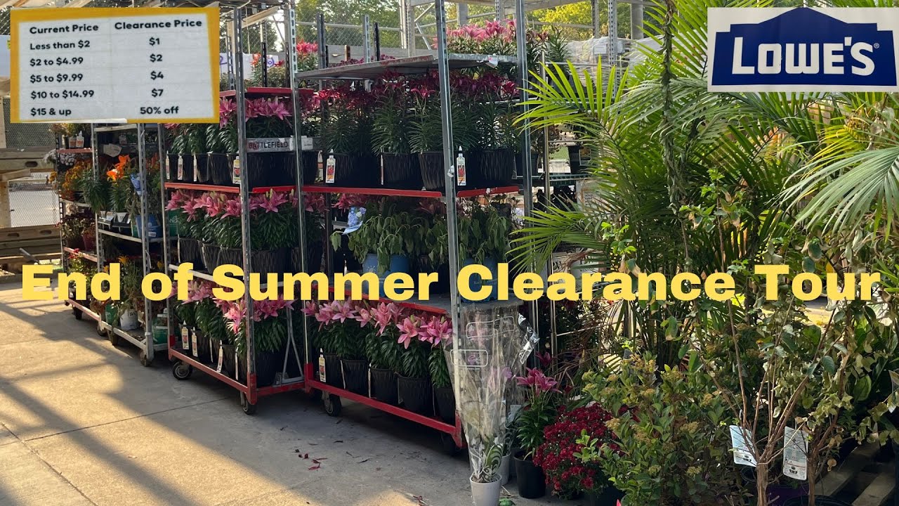Shopping at Lowes Clearance Plants End of Summer 2023 YouTube