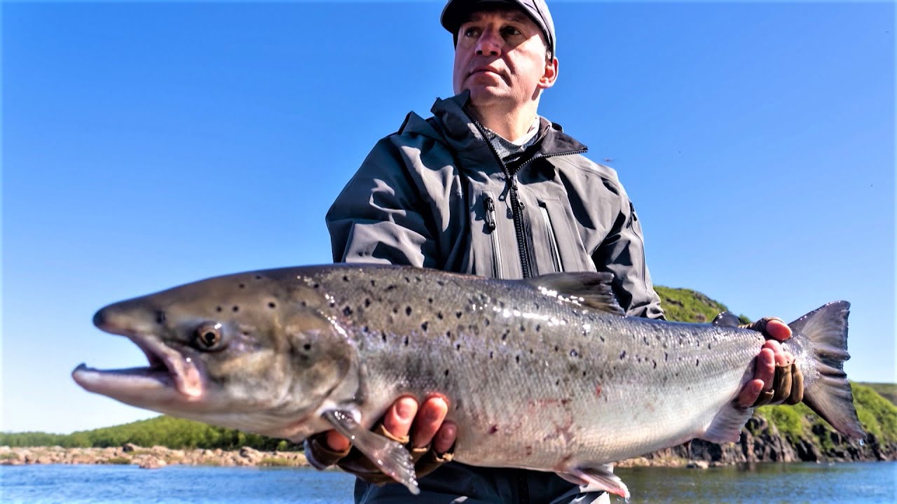Трофейная рыбалка на Кольском полуострове. - YouTube