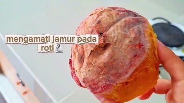 KELOMPOK 4(SINDY PRATIWI,YUSPIRA.AS,SHELVI INDRIANI,SOFIA ROMADANI & ULFAIDAH