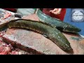 Live Murrel Fish Fry Slice | Fastest Fish Cutting Skills | Amazing Sola Fish Cutting Skills.