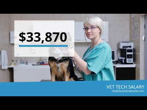Vet Tech Salary | How Much Does A Vet Tech Make?