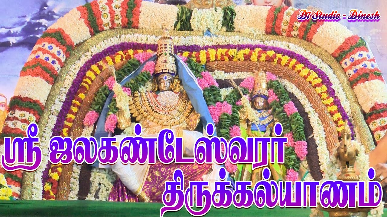 வேலூர் கோட்டை ஜலகண்டேஸ்வரர் திருக்கல்யாணம் சிறப்பாக நடைபெற்றது D7VLOGS -Dinesh 🌐🎥