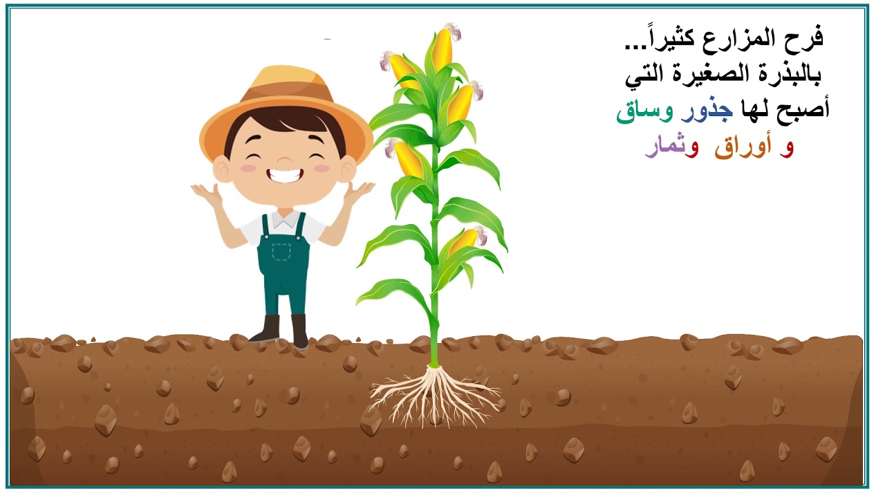 أجزاء النبات التي تؤكل - وحدة الغذاء- نجاة وبتول كيدز