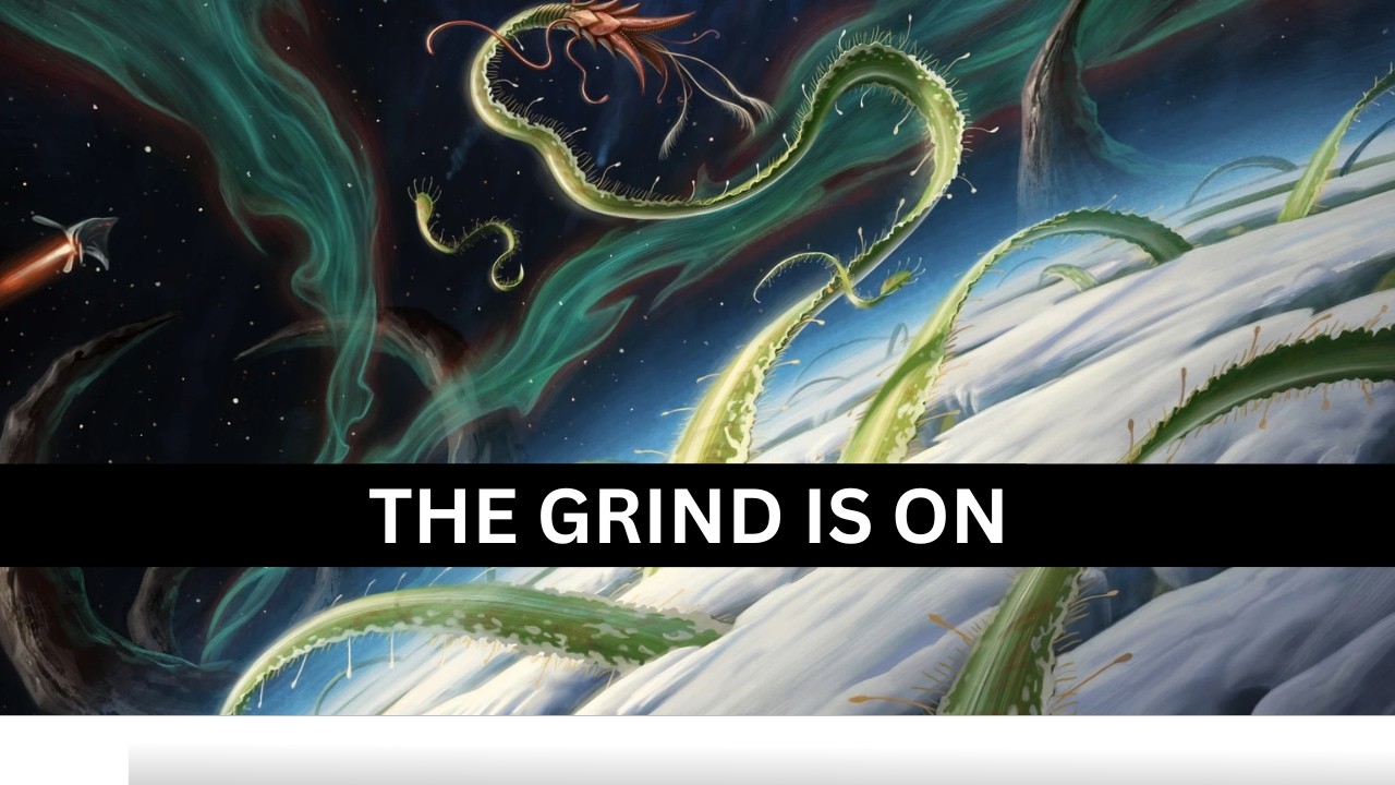 THE GRIND WILL CONTINUE UNTIL RANK IMPROVES!!