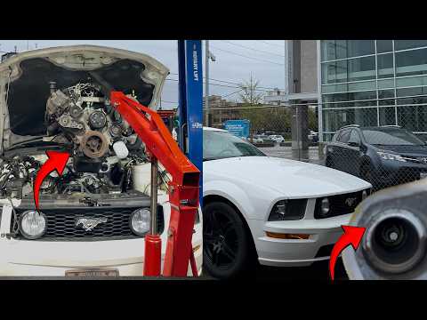Automotive Repair Werks