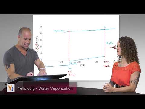 Physical Equilibria in Water and Biomacromolecules