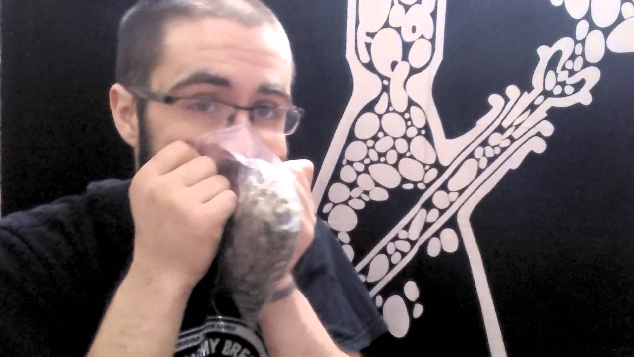 MONDAY MORNING WAKE AND BAKE!