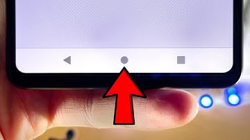 How To Change Home Button on Google Pixel 7 [virtual button]