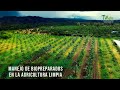 Manejo de biopreparados en la agricultura limpia - TvAgro por Juan Gonzalo Angel Restrepo