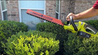 Celebrity Ryobi 18V Ryobi Hedge Trimmer (P2606VNM) with Hedge Sweep - One Year Review Profile