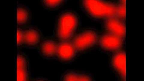 Record Breaking Gamma-Ray Burst Captured By Fermi | Video