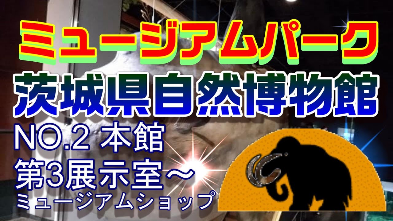 ミュージアムパーク茨城県自然博物館 No 2 本館 第３展示室 ミュージアムショップ 過去に学び 現在を識り 未来を測る Youtube