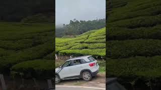 #munnar #teamtribe