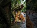 You Won't Believe What's Inside This Crocodile House! 🐊😱 #youtubeshorts #shorts #usashorts