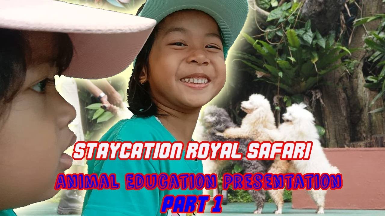PART 1 ANIMAL EDUCATION PRESENTATION STAYCATION ROYAL SAFARI YouTube