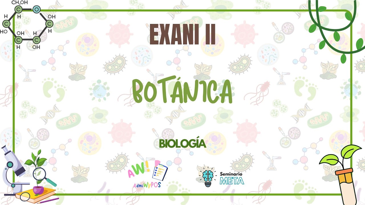 Botánica: Estructuras de la Planta | Biología | EXANI II