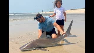 Shark Insanity and More!! Surf Fishing early-August on Long Island, NY