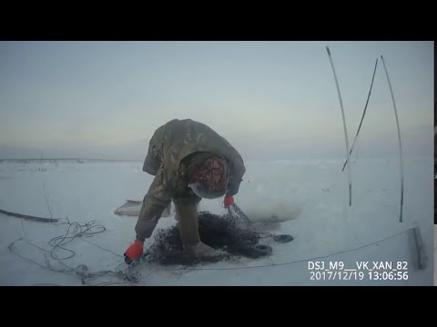 Проверка перемета и проверка чужой сетки! Якутия Yakutia