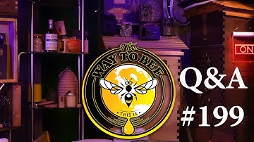 Beekeeping Questions and Answers Episode 199, how long should you leave your swarm trap up?