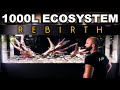 1000L ECOSYSTEM REBIRTH: An Aquarium Born Again
