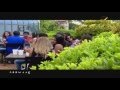 عرب وود اكتوبر 2014