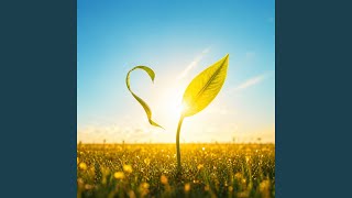 New Leaf