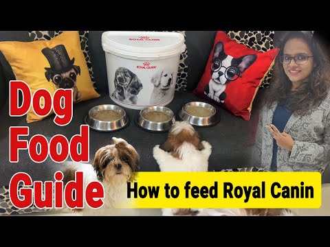 Video: Naaalala Ng Supply Ng Mga Feeder Ng O'Neal Ang Arrow Brand Dog Food