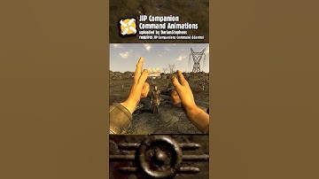 Companion Command Animations for #Fallout New Vegas