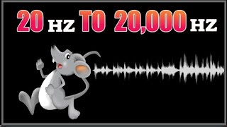 Ultrasonic sound 20,000 Hz mouse  and Rat Repellent #@nBeats23