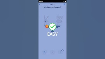 Easy game level 121 Who has eaten the carrot? Walkthrough