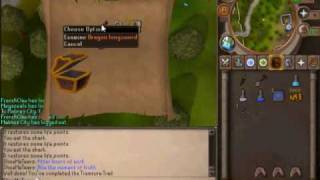 Best elite clue scroll reward ever!