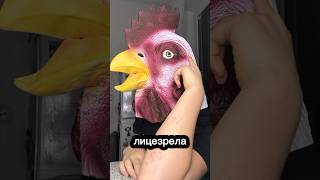 Я на загнивающем западе #врек#shorts#нидерланды #европа#залетипж#мойдень#влог#путешествия#экономика