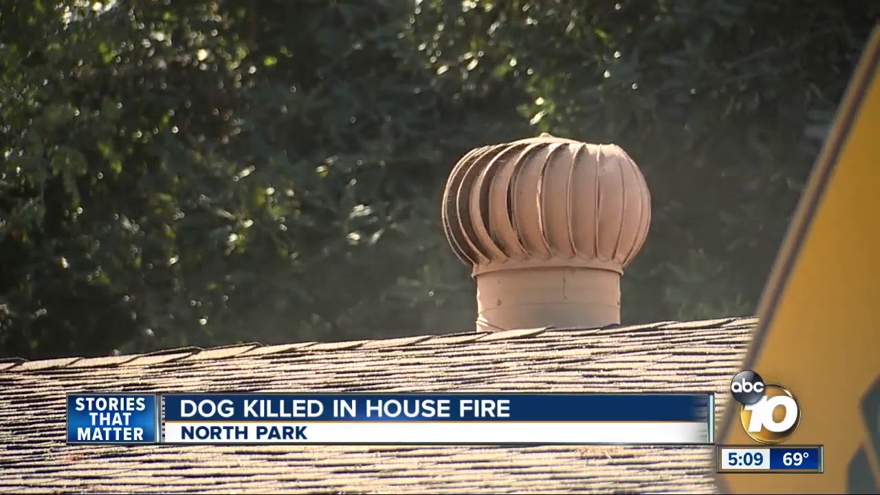 Dog killed in house fire - YouTube